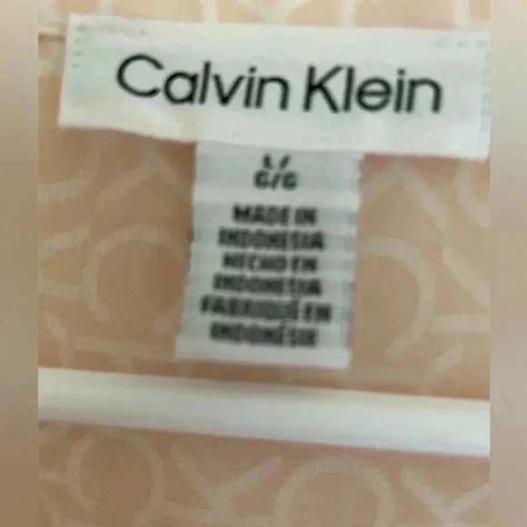 Calvin Klein Lined Sheer V Neck pink Logo Blouse size Large - Picture 3 of 4